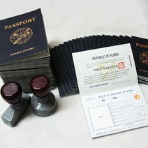 영어교구 여권 Blue세트 여권50 이민국 도장2, 단품