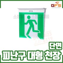 (GFS 금성방재) 피난구유도등 대형 천장형. 단면