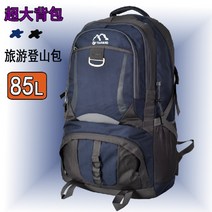 80L 대용량 백팩 등산 아웃도어 스포츠 초대형 배낭 가방 여행 이민 이사 짐가방, BX