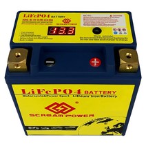 딥싸이클배터리 캠핑용 차량용 산업용 12V 5LBS 3Ah CCA 200A LifePO4 오토바이 시작 배터리 384Wh 리튬 스, 02 Left Positive