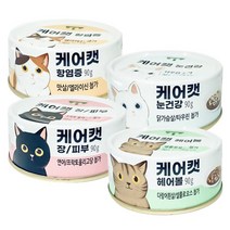 사조 케어캣 90g x24개 4가지 기능성 고양이캔, 항염증, 24개