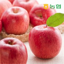[농협 블랙라벨 세척사과] [농협]올바른 22년 햇 세척 사과 실속형 3kg*2박스 (24, 상세 설명 참조