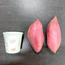 [잘생긴 꿀고구마] 중 사이즈 세척된 꿀고구마, 500g