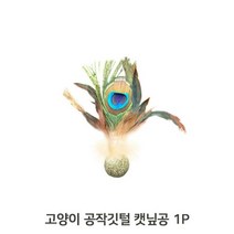 공작깃털 고양이 캣닢 볼 1P 실내운동 치석관리 공, 없음