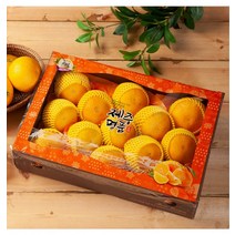제주도 산지직송 명절선물용 바닷바람 황금향 기프트박스 3kg / 특산품 귤, 제주도 산지직송 명절선물용 바_제품선택 | 5kg
