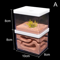 개미 관찰하기 개미집 관찰 앤트 하우스(대) 키우기 터널 여왕개미 키트 빌 새로운 큰 석고 농장 자연 생태 큰 둥지 곤충 성 작업장 애완 동물 집 집 먹이 영역, a, a