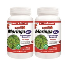 (2병) 캐나다 뉴트리돔 모링가 잎 4배 농축 120캡슐 분말 MORINGA OLEIFERA 모닝가 모린가 | 캐나다 직구 영양제 - 카포리아