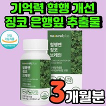 뇌 기능 고3 수험생 집중력 향상 플라보놀배당체 은행잎 추출물 혈관 건강 심혈관 공시생 진코 중년 징코 기억력 강화 콜레스테롤 개선 뇌에 머리에 좋은 노인 추천 메모리 케어 영양제