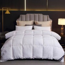 95% 거위털 이불 겨울 보온 이불솜, 화이트, 6근
