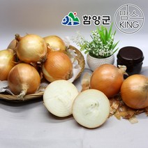 [함양군]함양농협 함양군 농특산물 품질인증 1호 지리산 함양양파 15kg, 단품