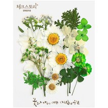 압화 컬러믹스 종합팩 꽃모음 17종 압화공예 액자 레진공예, 그린2