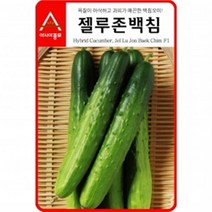 (오이씨앗종자) 젤루존백침 오이(500립)