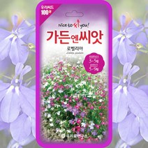 로벨리아 꽃 씨앗 종자 100립 / 꽃씨 모음 꽃씨몰 씨앗 종자 일년생 혼합 꽃씨 lobelia seed, 1개