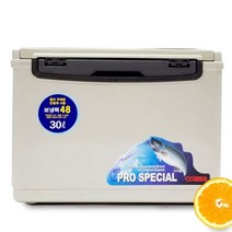 알티피아 쿨샵 낚시용 아이스박스 30리터 낚시 쿨러 태클박스[W9B70D5], 715아이스박스30리터, 본품, 715아이스박스30리터