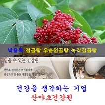 자연산 접골목진액(35일분):70팩 딱충나무 말오줌나무 접골탕 우슬접골탕 녹각접골탕, 70개