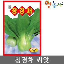 청경채씨앗 2g, 청경채