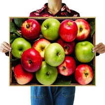 FASEN 보석십자수 DIY 키트 40 x 50 cm, ZSL010사과