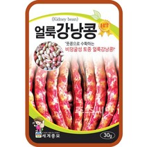 콩 옥수수 씨앗 강낭콩 작두콩 서리태 호랑이콩 종자 백태 땅콩 율무 녹두 팥 완두콩 씨, 8. 얼룩강낭콩 30g