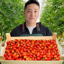 셔리푸드 스테비아 방울 토마토 잔류농약 초음파 세척완료 농장 산지직송, 1개, 500g