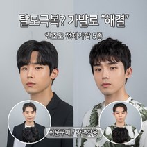 블링하이 ABC 전체가발 5종 쓰기쉬운 트렌디한 남자머리 패션가발 남자, 1개, 3. Z 스왈로펌 L 자연검정