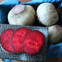 제주 김경보님의 레드비트 5kg, 1개