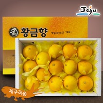 올찬 [올찬] 황금향 선물세트(중) 5kg 27~30과 / 제주직송, 1