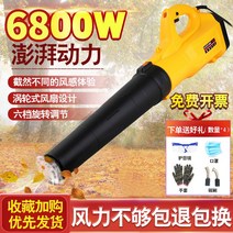 집진기 거리 청소 나뭇잎 날리는 기게 청소기, 6800W 6단 변속 전선길이 5미터 220V