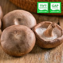 무농약 GAP 통실생표고 산지직송 당일수확 700g 5kg, 선물용, 약 700g, 1개