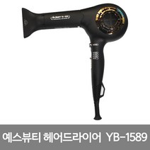 예스뷰티 전문가용 고성능 헤어드라이기 YB-1589, 블랙