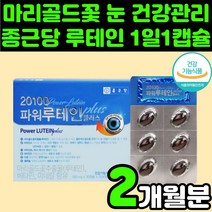 60대 루테인 로테인 뉴테인 눈에 좋은 영양제 시력 보호 눈 피곤 건강 보조제 시니어 안구 금잔화 메리골드 꽃 추출물 할머니 할아버지 부모님 선물 빌베리 헤마토코쿠스 비타민A 침침, 1박스(2개월분)