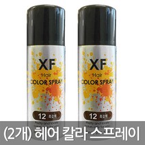 (2개)차밍코리아 엑세프 패션 헤어 칼라 스프레이, 11호 검정색