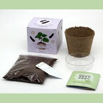 화분 모종키우기 재배키트 홈가드닝 세트 플랜테리어 플라워 텃밭꾸미기 꽃