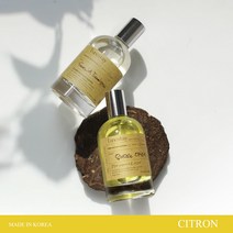 튠스테이 룸스프레이 100ml 유자 먹는 아낙네, 단품