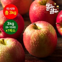 달아달아 못난이사과 미시마 3kg(8-10과) 1박스, 단품