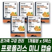 프로폴리스 미니캡슐 플라보노이드 추출물 비타민E 아연 항산화 구강 관리 건기식