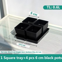 공기정화식물 포인세티아 아라우카리아 천리향 Meshpot 6cm7cm 즙이 많은 냄비 플라스틱 꽃 냄비 선인장 재배자 뿌리 좋은 공기 시스템 정원 용품 홈 12 월 제어, 6cm 블랙 1세트