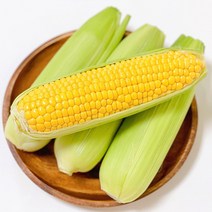 23년 첫출하 무려 20brix 단맛 초당옥수수, 껍질없는 초당옥수수 특품 15cm이상 10개, 10개