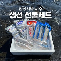 제주 갈치 고등어 선물 세트 생선 구이 옥돔 백조기, 제주 갈치 특대 4개