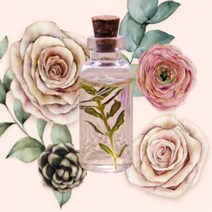 나스카코리이 오가닉 화이트티 에센셜오일 10ml DIY재료 동백에센셜오일