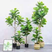 떡갈잎 고무나무 조화(180cm)