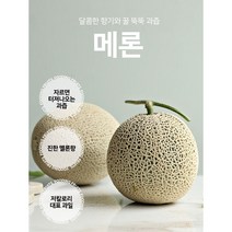 [백화점납품과일]초신선 국내산 머스크메론 과일선물 고당도 프리미엄 / 가락시장 당일경매입고 당일배송 임산부과일, (특1등급)머스크메론 4kg 2수