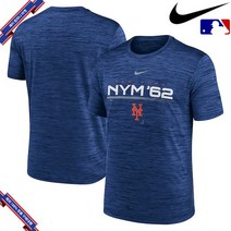 [미국정품] 나이키 MLB 토론토 블루제이스 Authentic Collection Velocity Performance Practice - Royal 895209