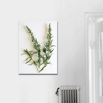 CAS511 타라곤 향신료.시즈팝, CASM01B타입(정사각형)-1호