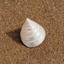 30큐브어항 물멍 금붕어키우기 꾸미기 베타어항 베타키우기 용품 장식 물고기키우기 거북이키우기 구피 소