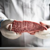 웻에이징 프라임 와규 소고기 치마살 갈비살 부채살 살치살 스테이크 200g, 2. 고마블 와규 갈비살 200g