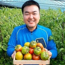 (람이네)농부가 직접운영 프리미엄 중과 대저 짭짤이 토마토 2.5kg 짭짜리 짭짤이 산지직송, 프리미엄 짭짤이토마토 중과 2.5kg
