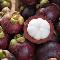 고씨네 망고스틴 냉동망고스틴 과일 냉동망고스틴1kg, 1개, free