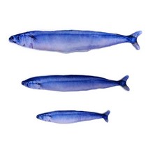 캣닢물고기 꽁치 소 20cm 캣잎 쿠션 인형 고양이 장난감, 1개, 20cm(소)