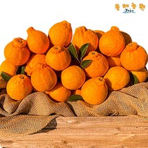 올레농원 고당도 노지 한라봉 3KG 외 5KG / 10KG 사이즈별 골라담기, 01. 고당도 노지 한라봉 3KG 혼
