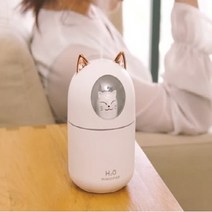 다이소가습기 병원 비염 공부방 작은방 회사 독서실 조용한 책상용 원룸 세척편한 사무실 저소음 USB 가습기, 화이트